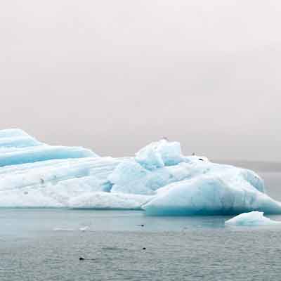 J&ouml;kuls&aacute;rl&oacute;n Eisberg